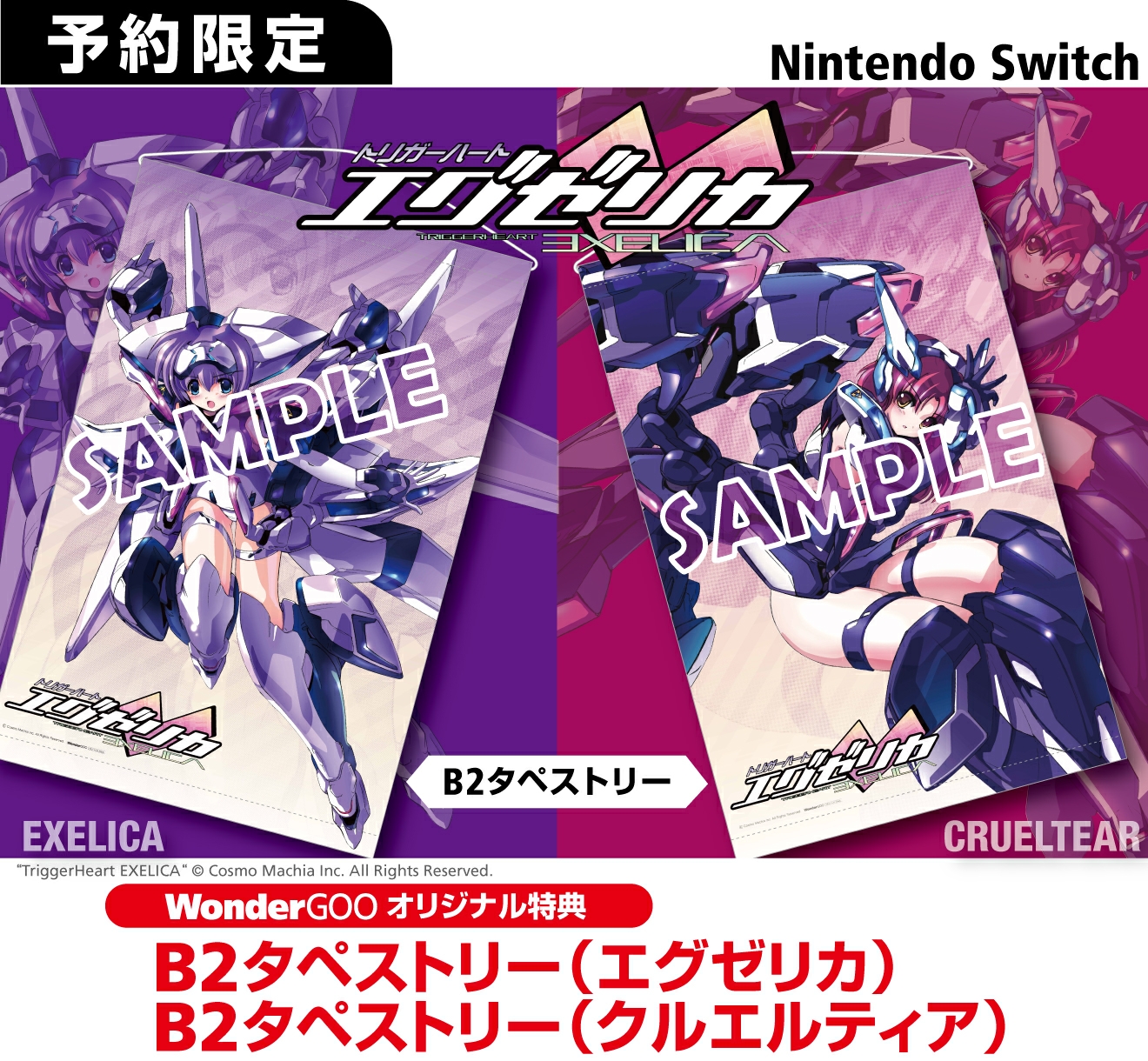 Nintendo Switch トリガーハート エグゼリカ【オリ特】B2タペストリー2