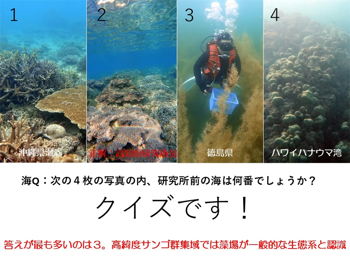 九州以北のサンゴを守る！「高緯度サンゴサミット」を開催しました