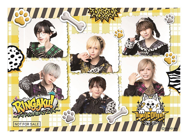 RINGAKU！～アイドル学園バラエティ～」特集 | 東映ビデオ