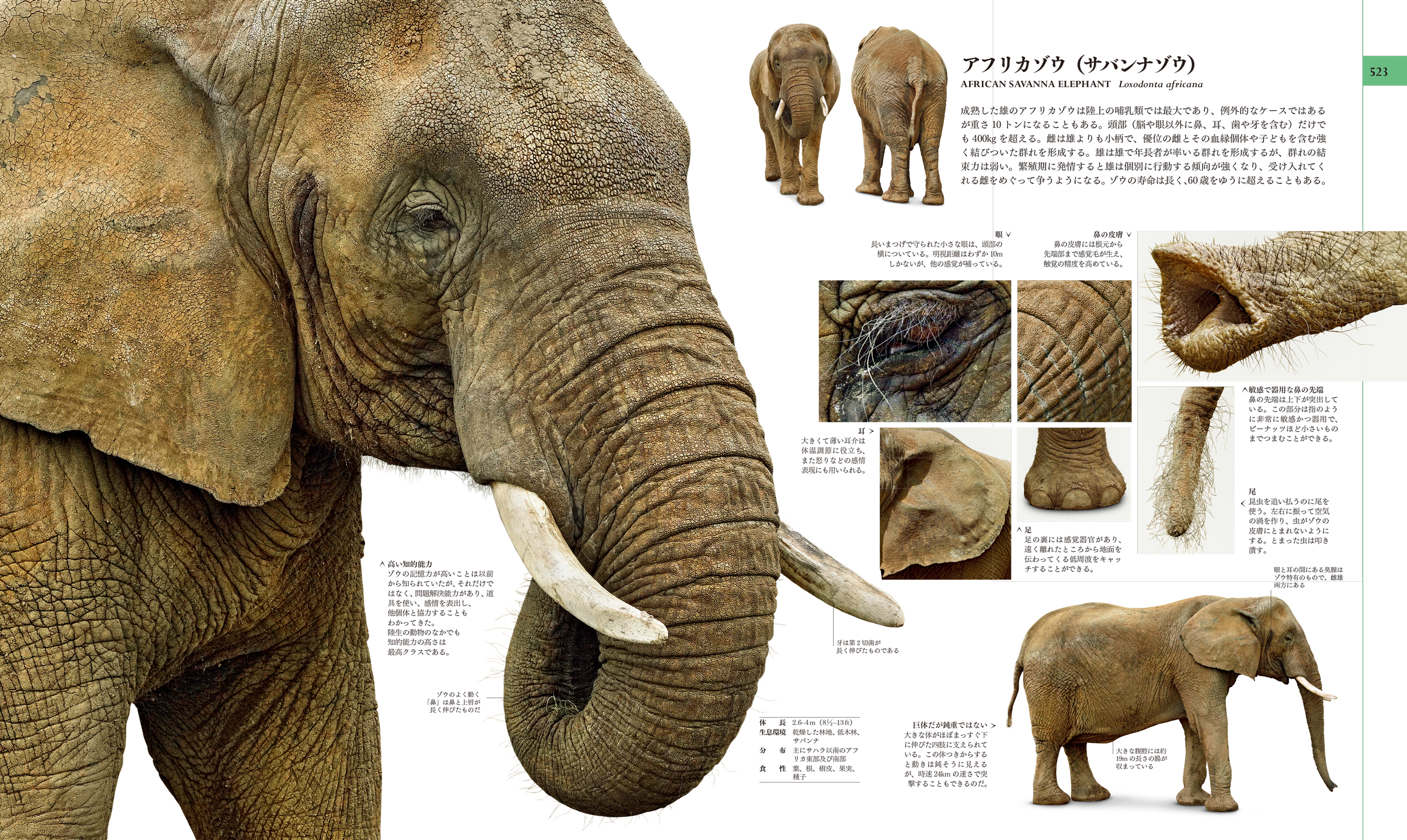 東京書籍】 一般書籍 自然科学 地球博物学大図鑑 新訂版