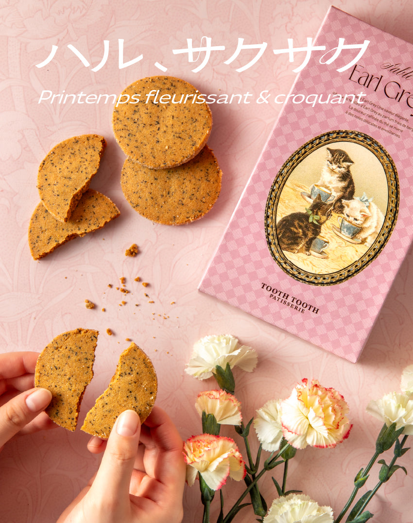 TOOTH TOOTHオンラインショップ「TOOTH TOOTH MART STORE」