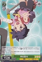 カードを買う/ヴァイスシュヴァルツ/【S】シュヴァルツサイド（2012年