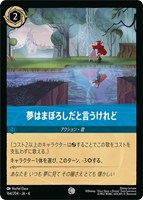 ディアブロ 忠実なる使い魔【ロルカナお買得価格通販：CBトレコロ】