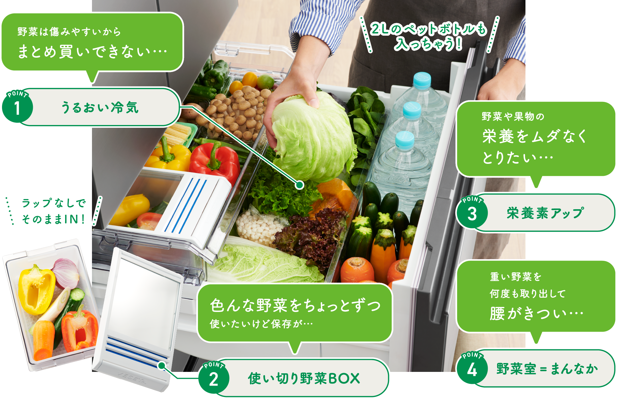 もっと潤う 摘みたて野菜室｜商品特長｜冷蔵庫｜東芝ライフスタイル