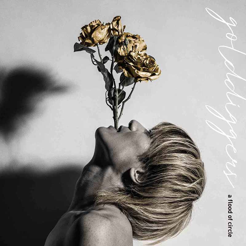 a flood of circle［ゴールド・ディガーズ（テイチクオンライン