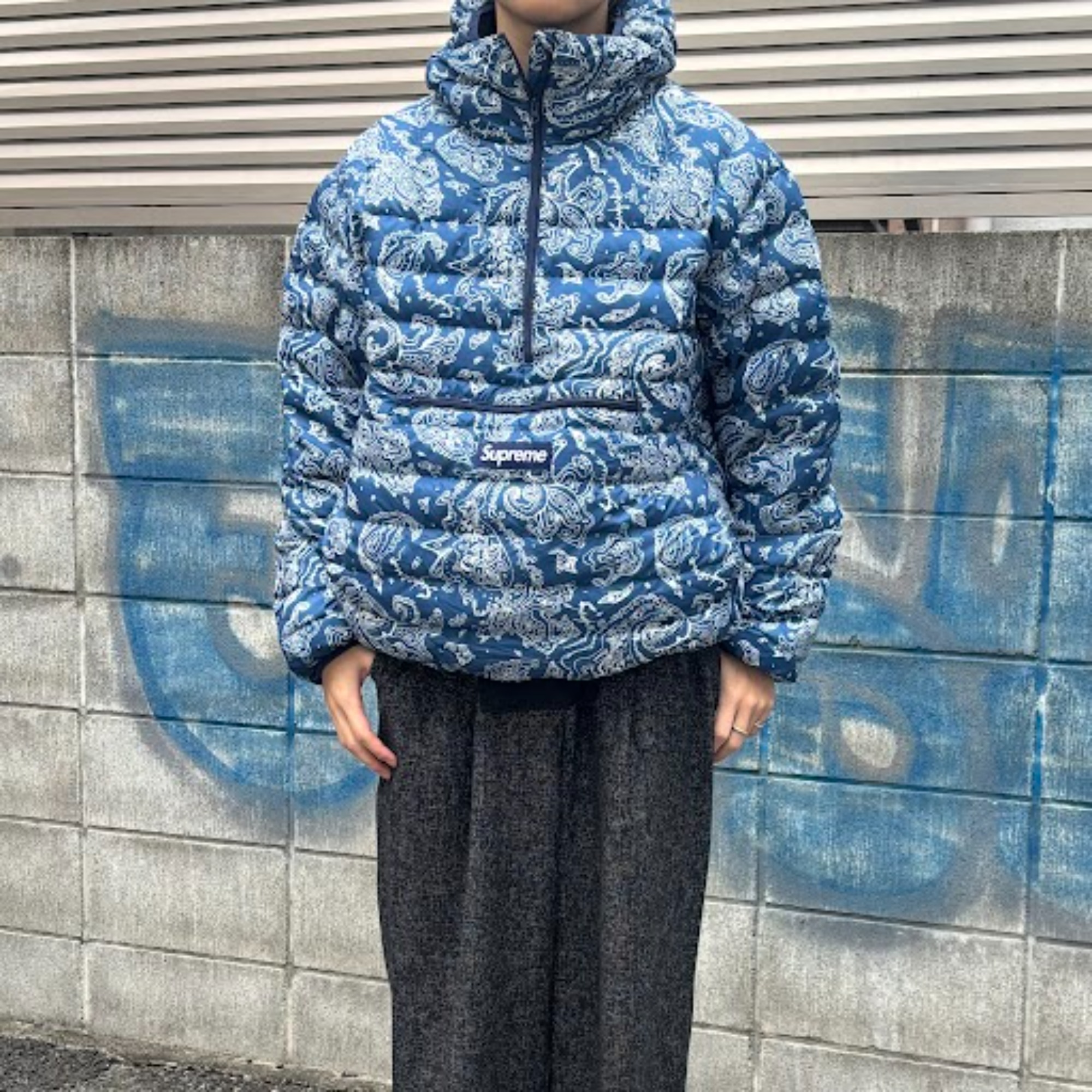 SUPREME/シュプリーム】より【Micro Down Half Zip Hooded Pullover