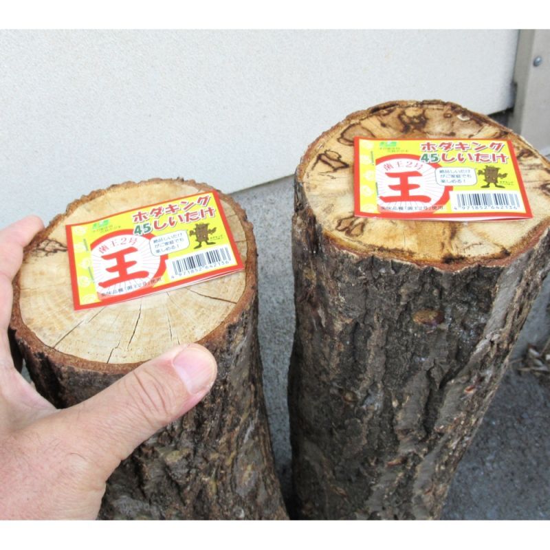 オガ菌完熟ホダ木-ホダキングしいたけ「おいしい品種 菌王2号使用-栽培