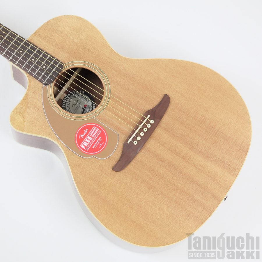 Fender Newporter Player Left-Handed - 谷口楽器