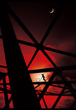 TOUR2014 或いはアナーキー －FINAL－ DVD初回限定盤 / BUCK-TICK