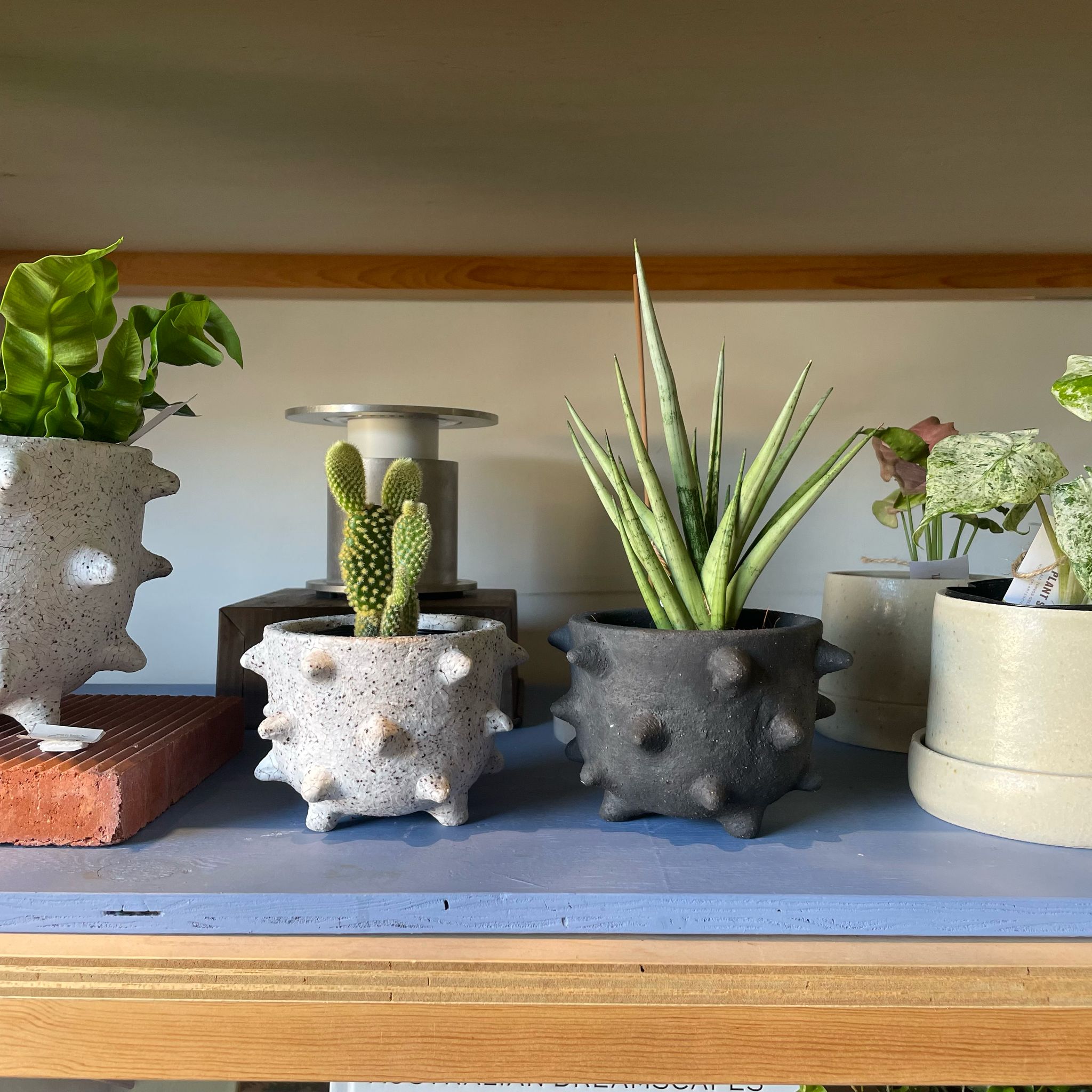 Spike Planter by Buzzby & Fang I 植木鉢 I プラントソサエティ