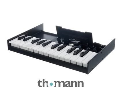 Roland Boutique K-25m Keyboard – United States