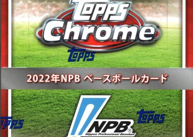 ⚽ 2023 TOPPS TEAM SET ARGENTINA FILETEADO PREMIUM HOBBY【製品情報