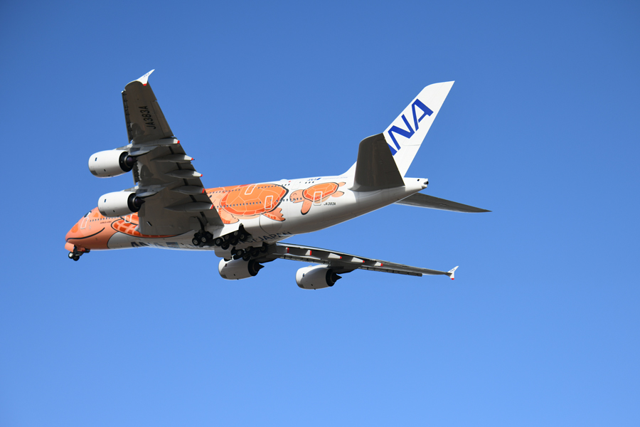 ANA、エアバスA380型機「ホヌ」3号機の整備フライトを初実施 約2時間