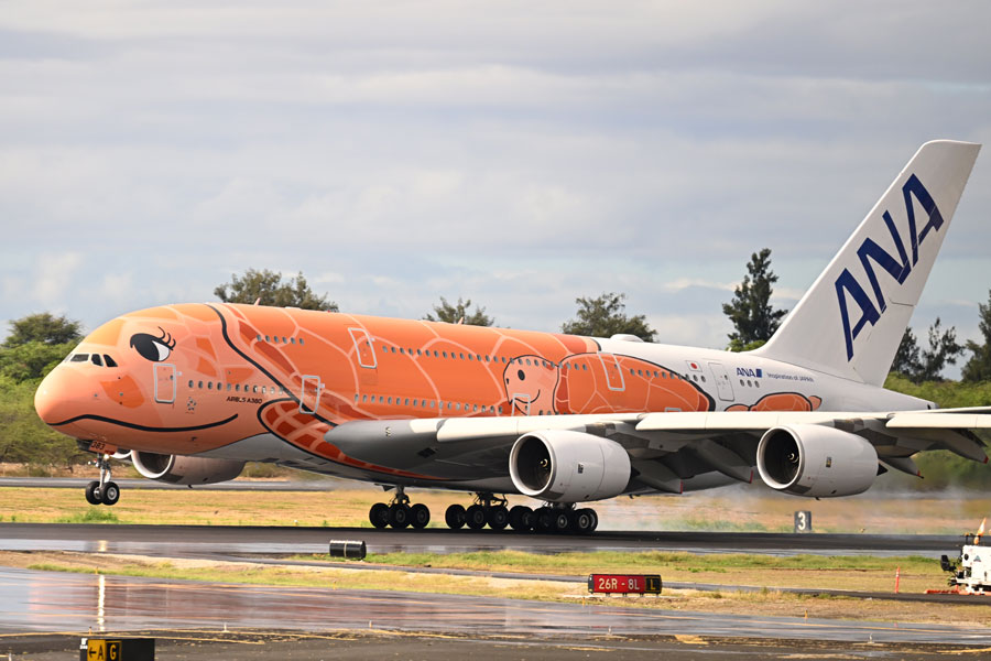 ANAの「フライングホヌ」3号機初便、ホノルルに到着：マピオンニュース