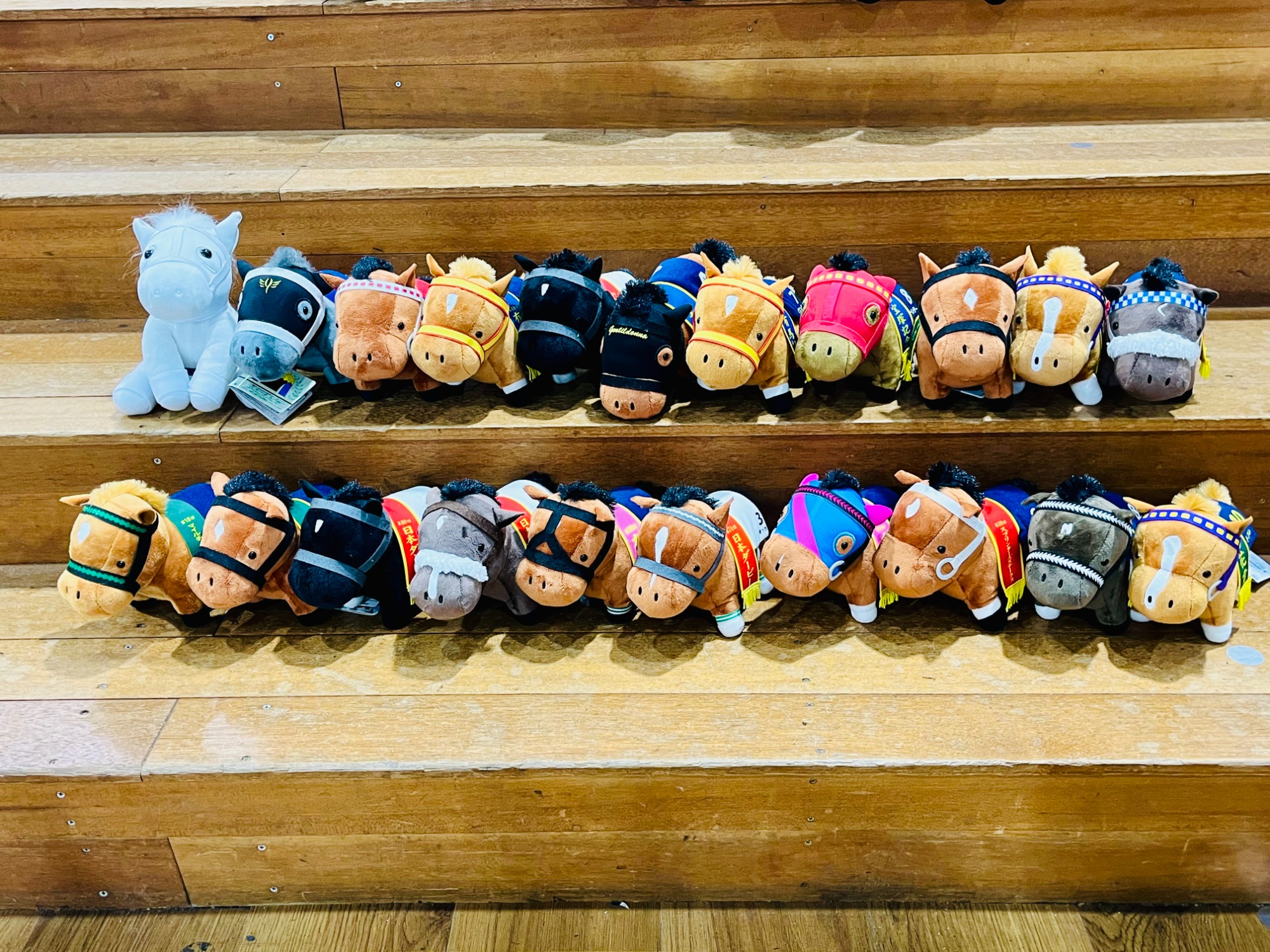 サラブレッドコレクション ぬいぐるみが買取入荷いたしました