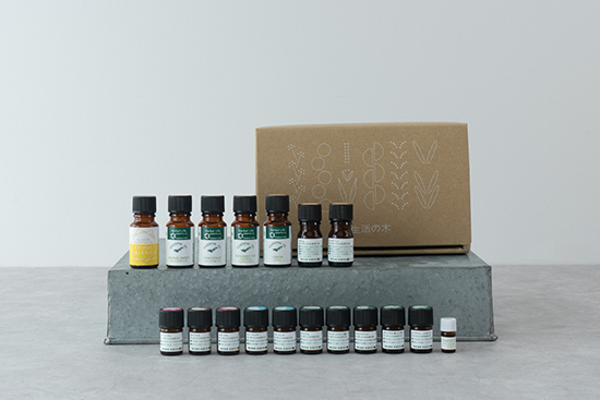 福袋の予約が本日11/1(水)よりスタート！｜生活の木からのニュース