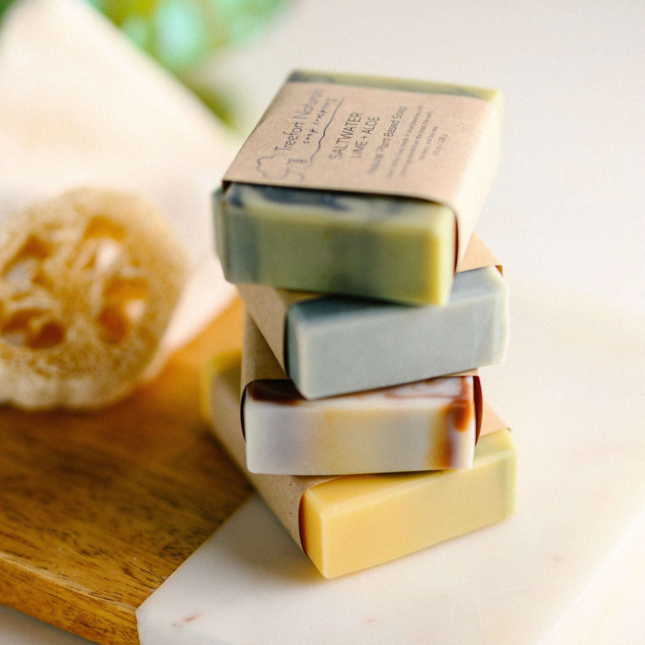 Ten Bar Soap Set - Treefort Naturals