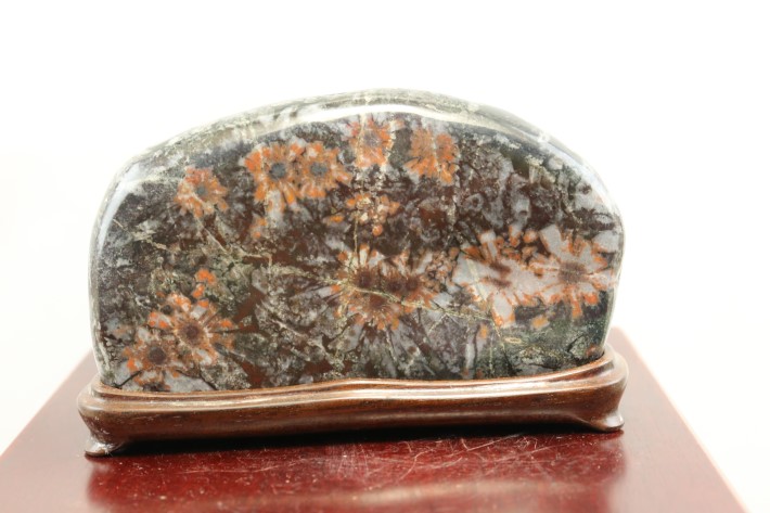 菊花石（台座付) A3660☆根尾谷産 添景 添配 水石 盆石 鑑賞石☆「送料