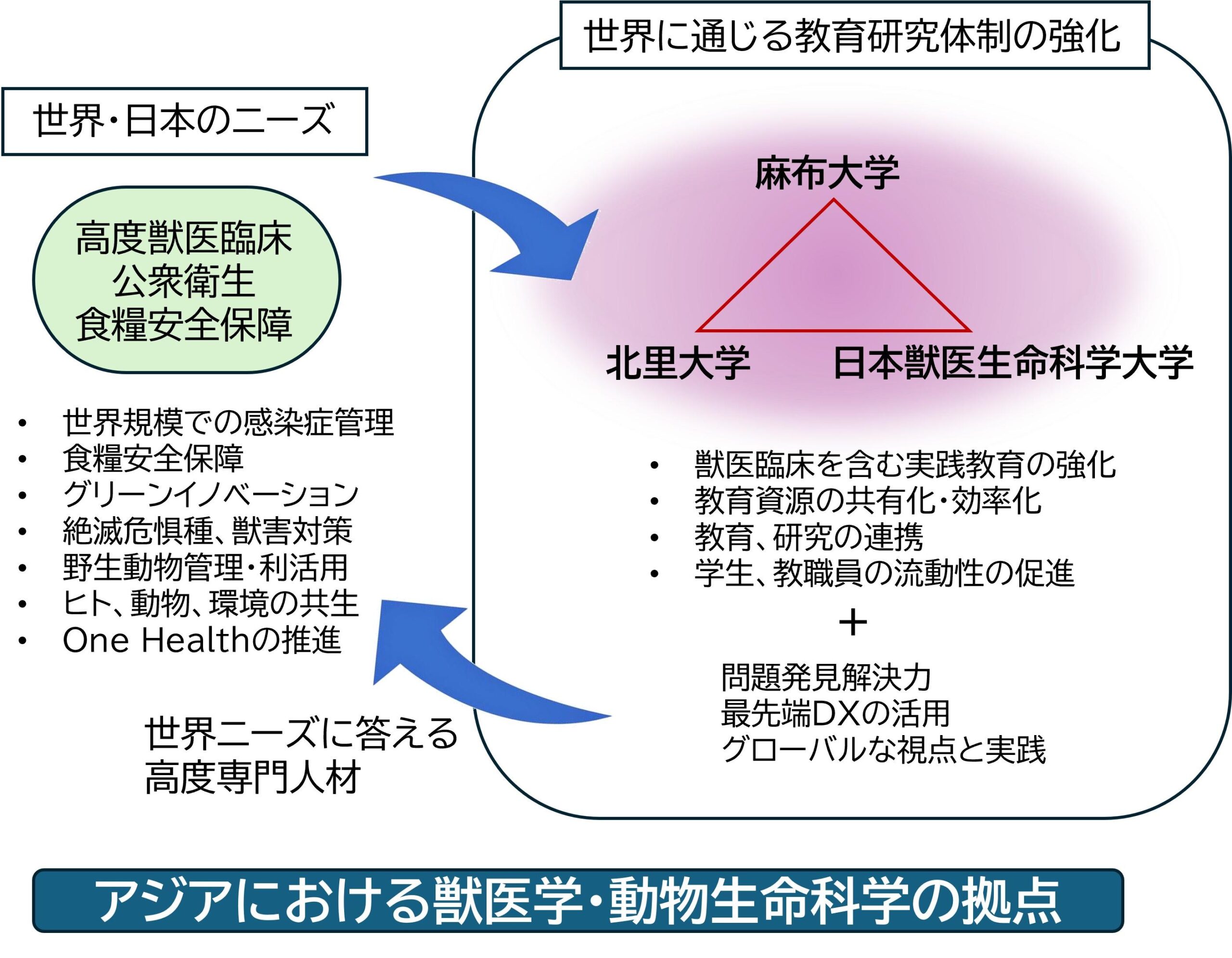 麻布大学、北里大学、日本獣医生命科学大学が獣医学・動物生命科学に
