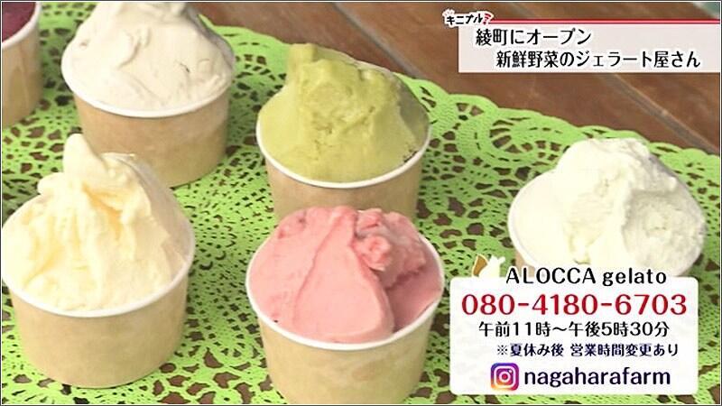 綾町にオープン 少し変わったジェラート屋さん（2022年08月19日放送