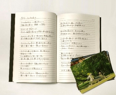 アルバム『だから僕は音楽を辞めた』『エルマ』『盗作』初回限定盤の再