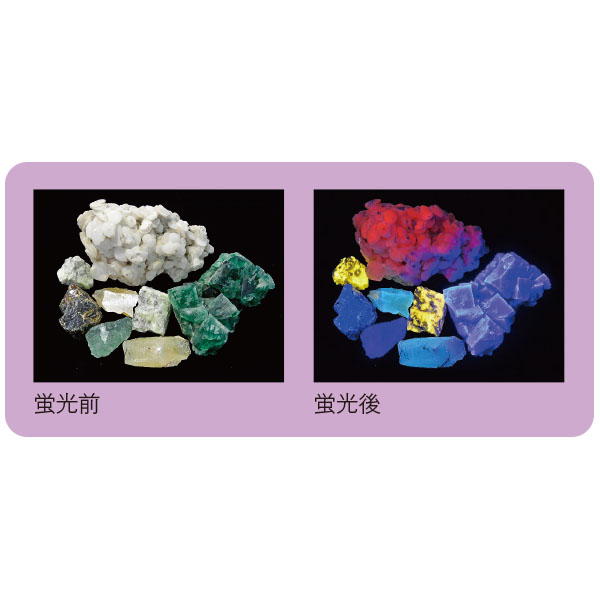 UCHIDASウチダス光る石の不思議な世界（蛍光鉱物セット）: 理科