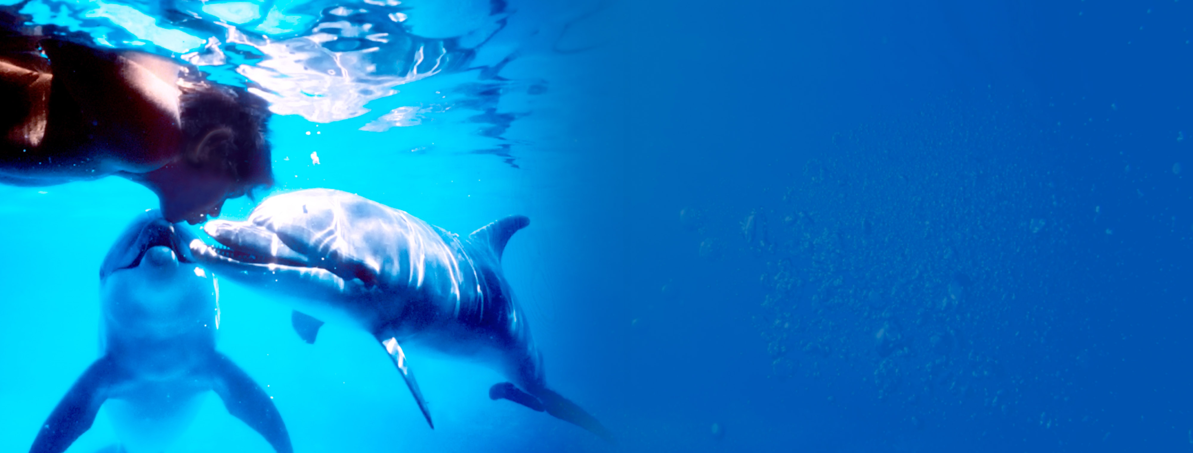 img_intro02.jpg?20260222100503