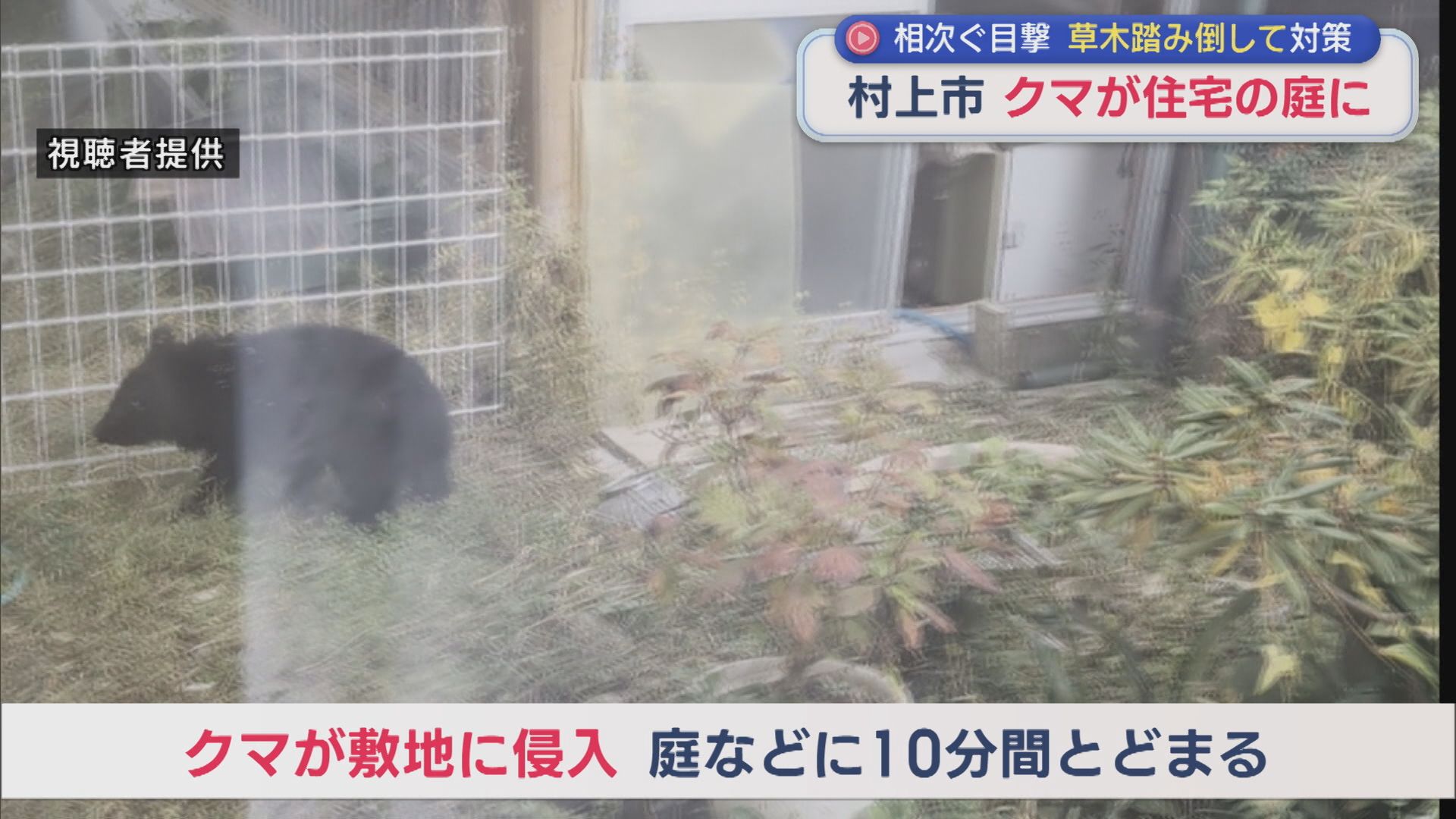 UX新潟テレビ21 | 村上市でクマが住宅の庭・車庫に約10分とどまる各地