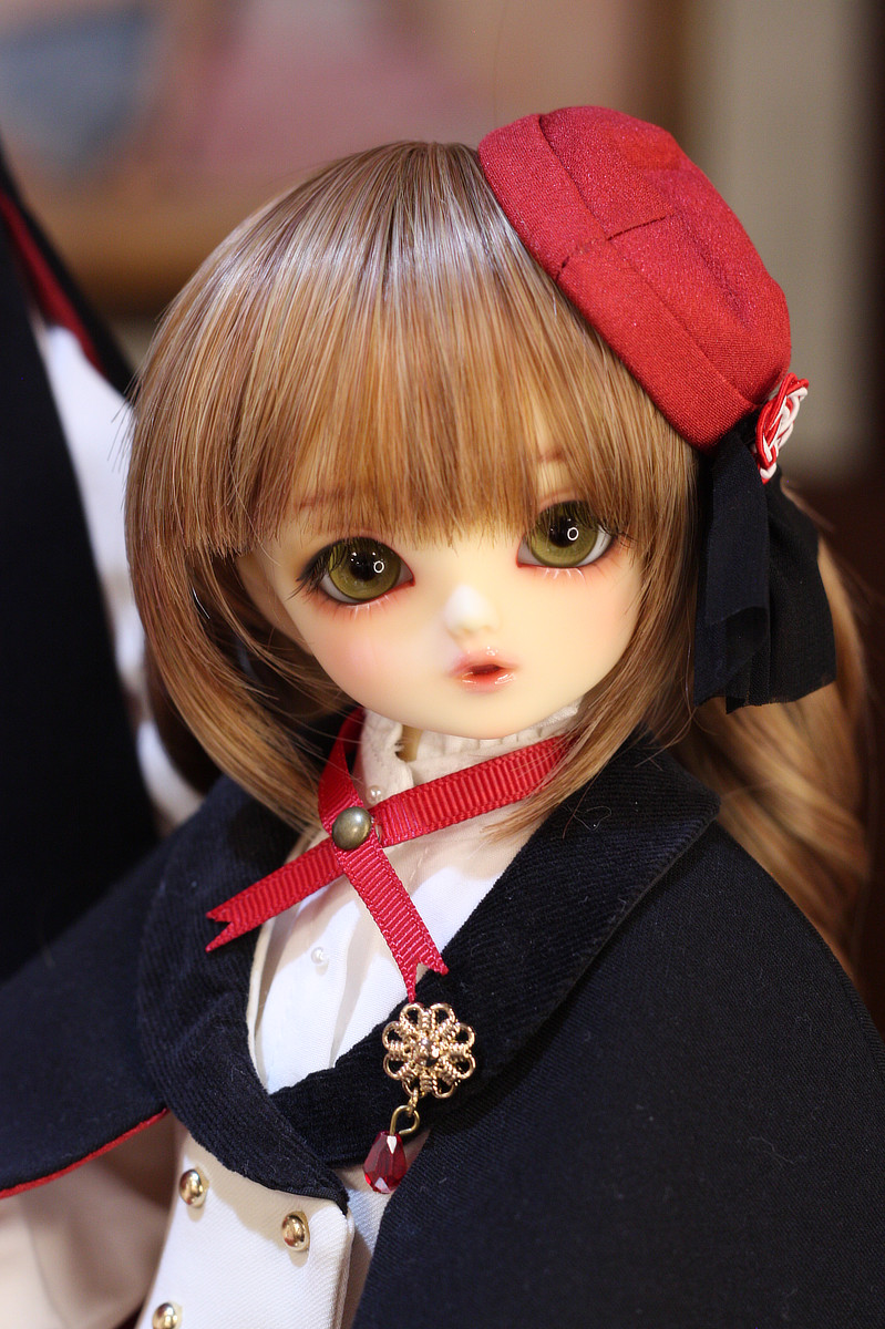 11月3日（日）まで！】特別フルチョイス 期間限定パーツのご案内