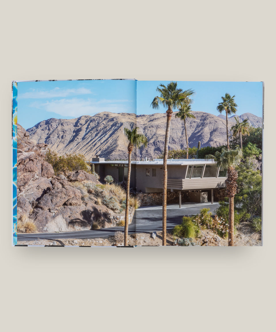 Inside Palm Springs – Vendome Press | Global