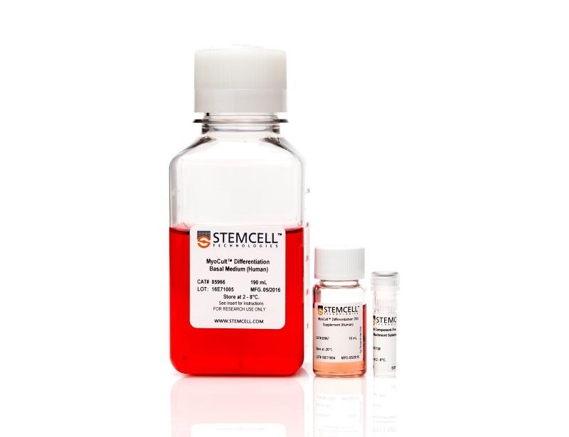 MyoCult Differentiation kit | 製品情報 | ベリタス