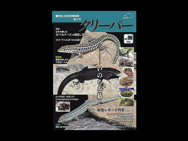 クリーパー(CREEPER) クリーパー社 販売 通販