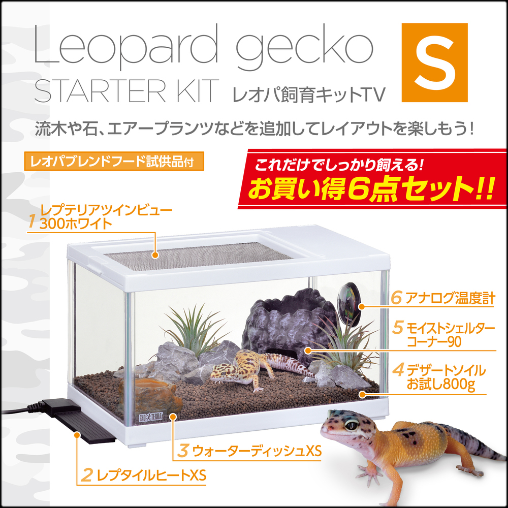 レオパ飼育キットS TV エキゾテラ(EXOTERRA) 飼育セット 販売 通販