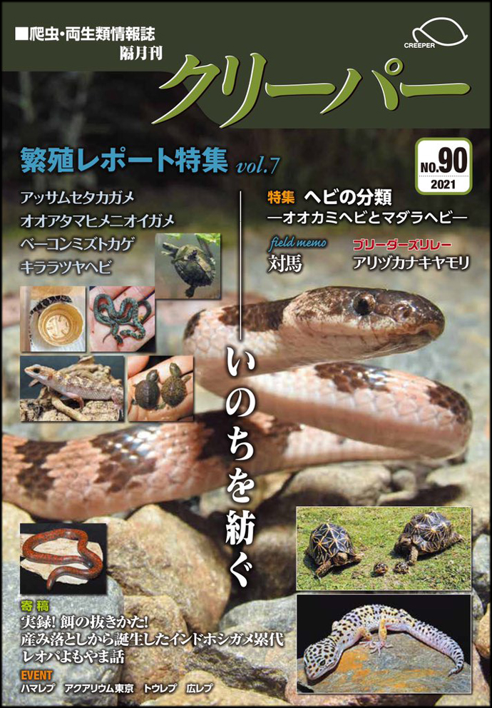 CREEPER（クリーパー） NO.90 繫殖レポート特集 vol.7