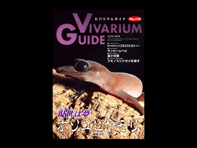 ビバリウムガイド(Vivarium Guide) エムピージェー(MPJ) 販売 通販
