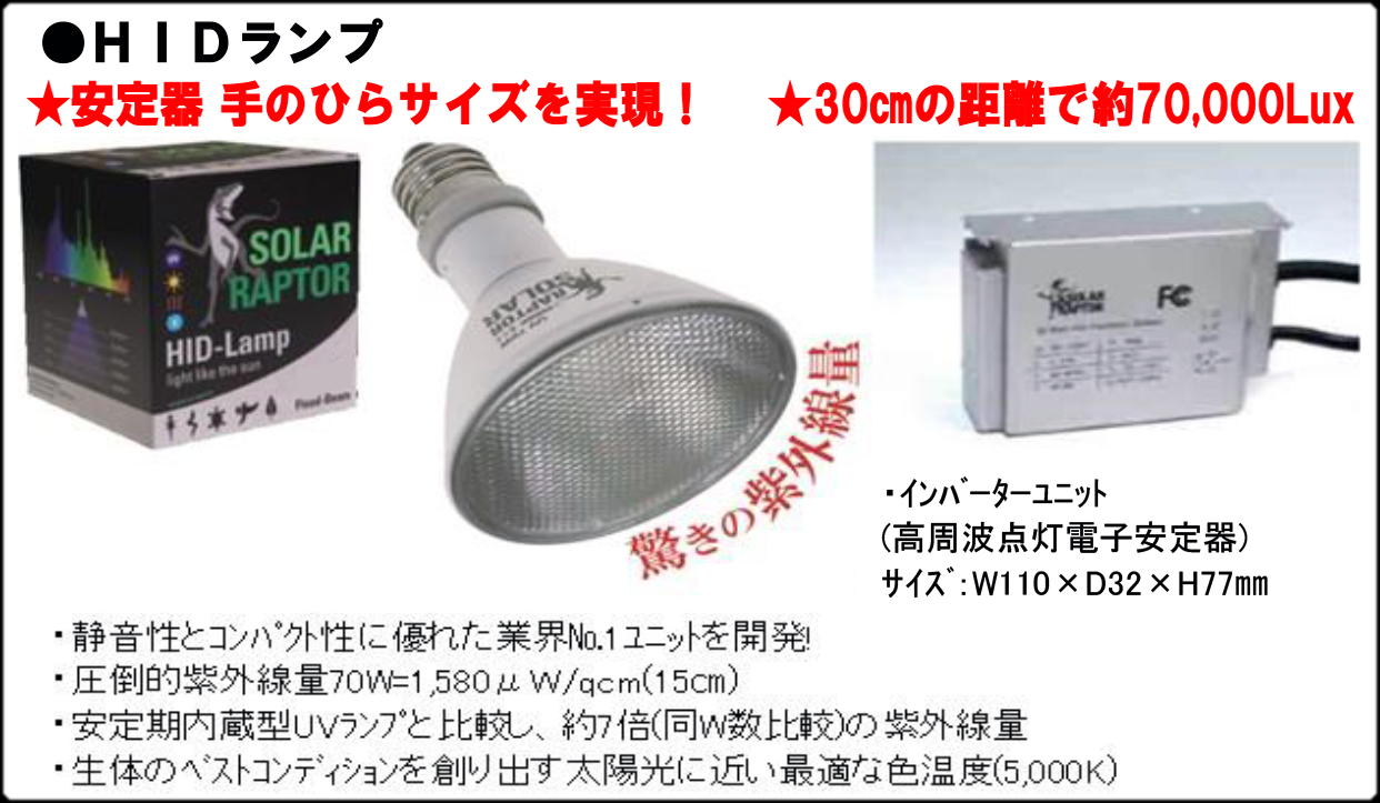ソーラーラプターHIDランプ70W ゼンスイ 爬虫類用メタハラ 販売 通販