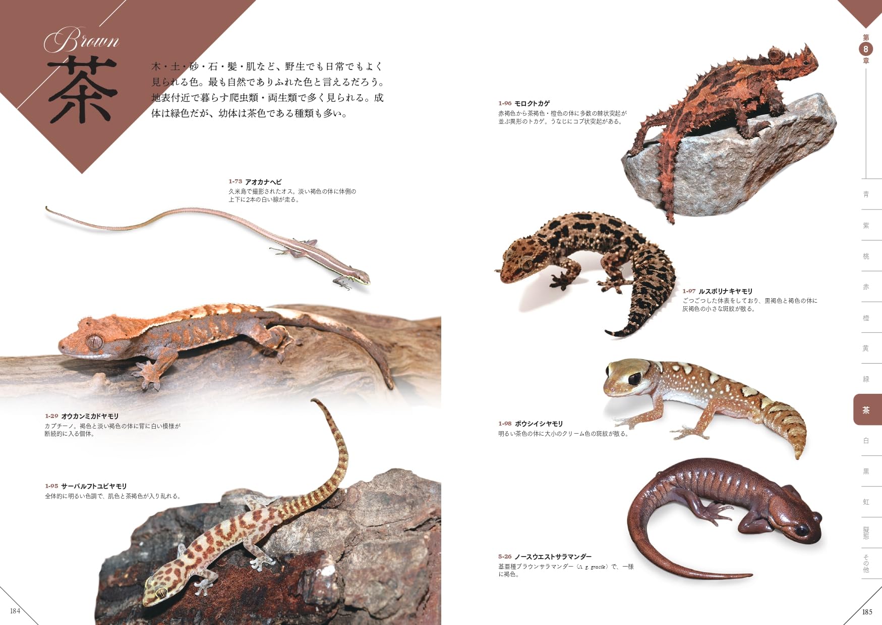 色彩別爬虫類・両生類図鑑