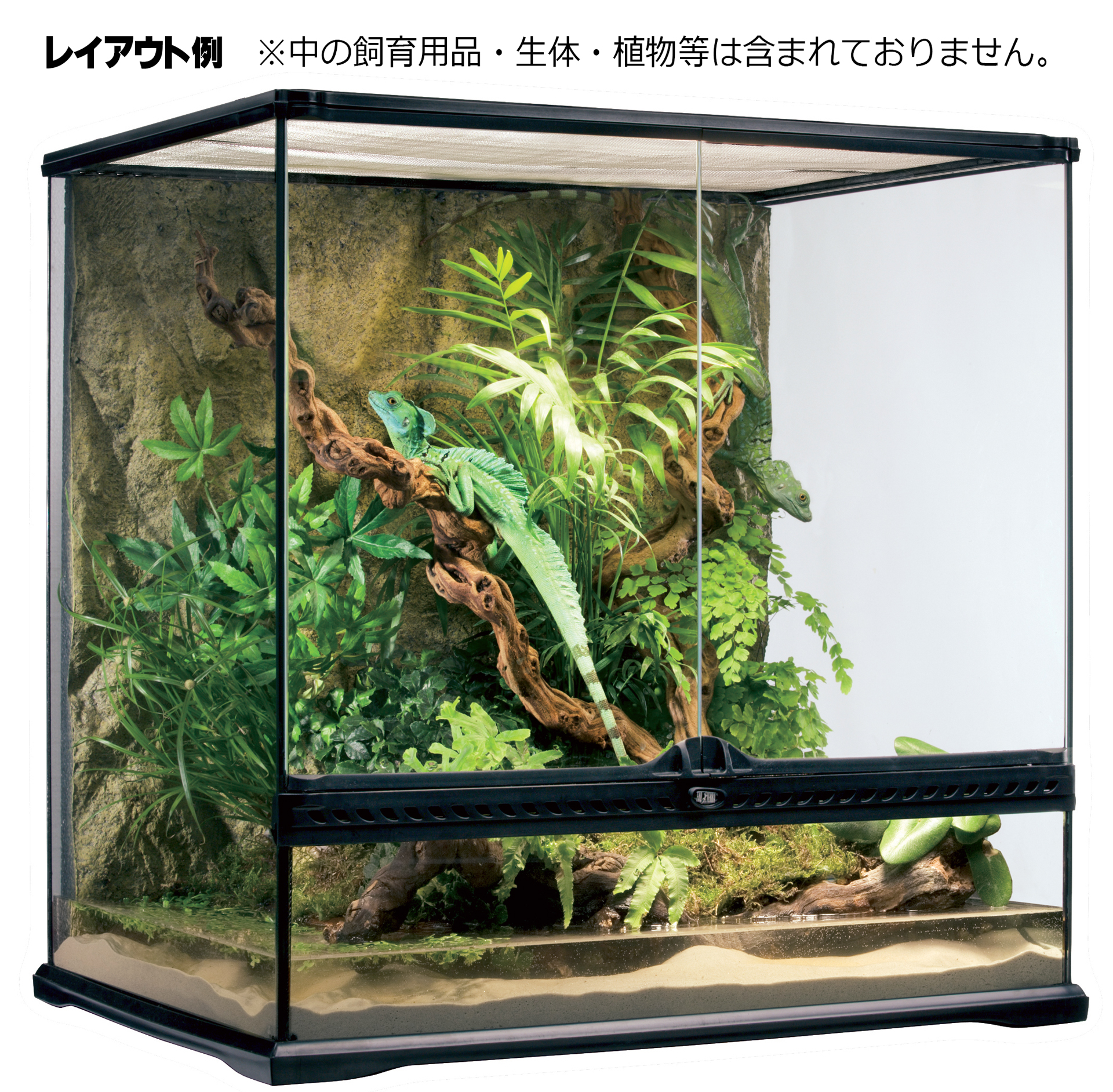 グラステラリウム6060 エキゾテラ GEX ガラス飼育ケージ 販売 通販