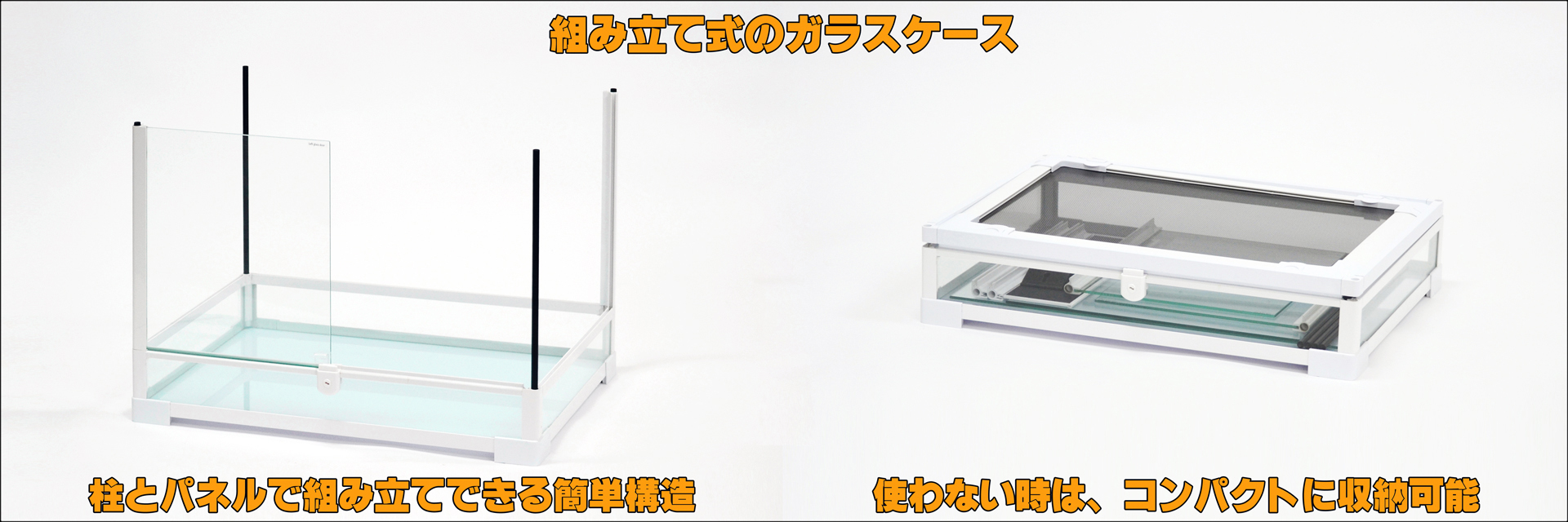 パンテオンカノンホワイトWH6045 三晃商会 ガラスケージ 販売 通販