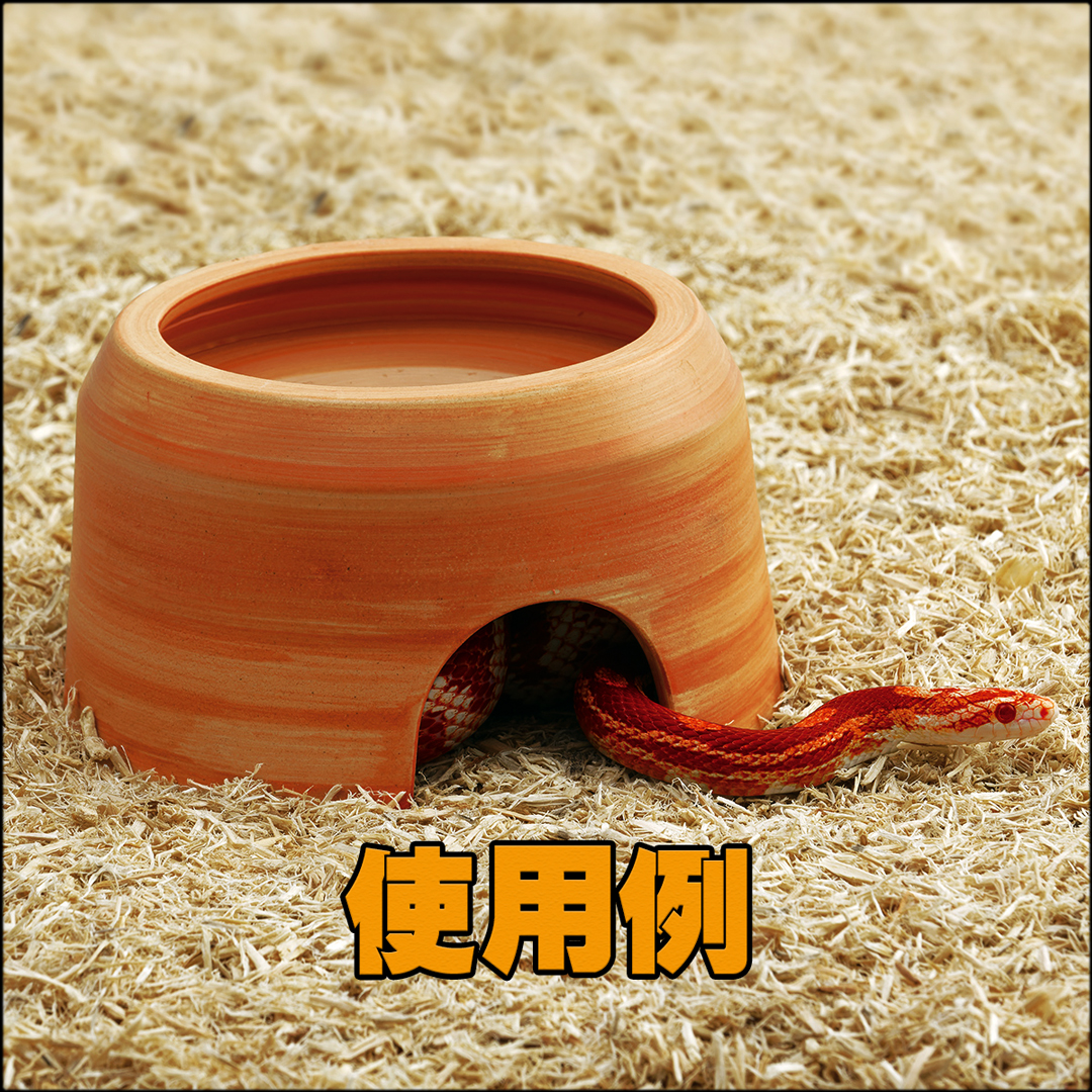 ウェットシェルター極(きわみ)L スドー 爬虫類シェルター 販売 通販