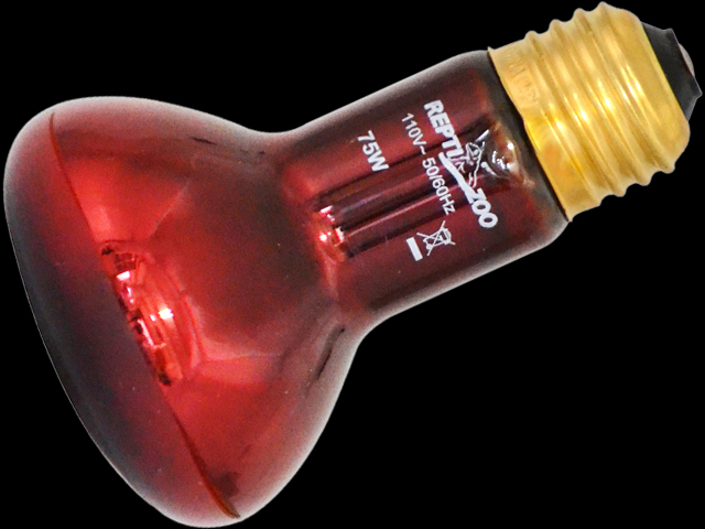 赤外線保温バスキングスポットランプ75W レプティズー 販売 通販