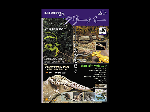 クリーパー(CREEPER) クリーパー社 販売 通販