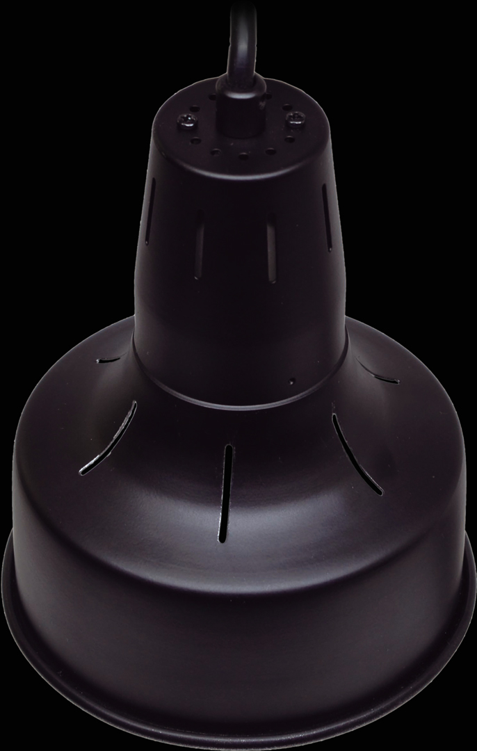 ソラリウムUV70Wセット ゼンスイ 爬虫類用メタハラ 販売 通販