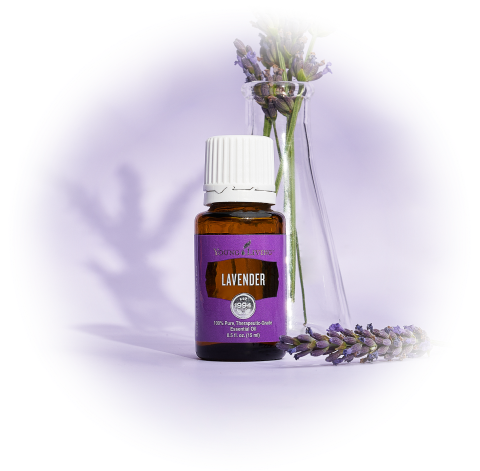 シングル エッセンシャルオイル ラベンダー - ヤング・リビング 公式ブログ
