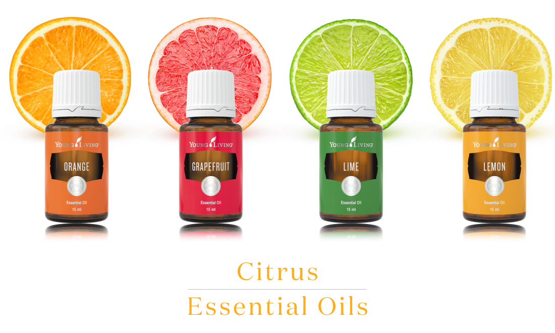 シトラスの香りのエッセンシャルオイル - ヤング・リビング 公式ブログ