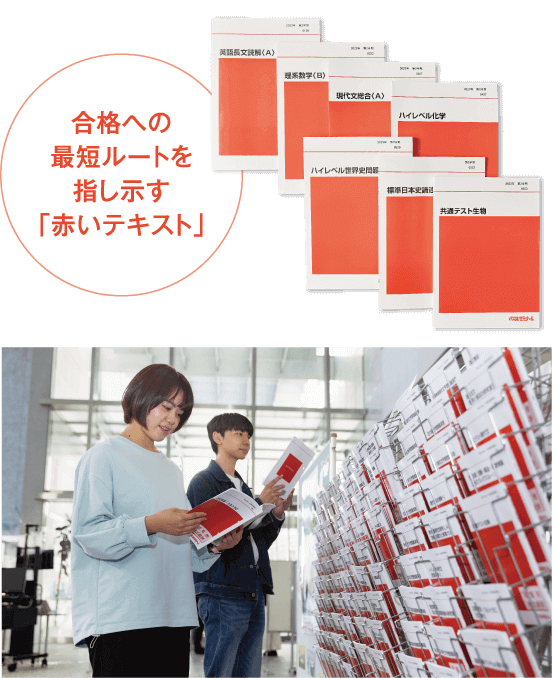 東進】『直前講習 難関大世界史直前対策(難関私大予想テーマ編)』 駿台