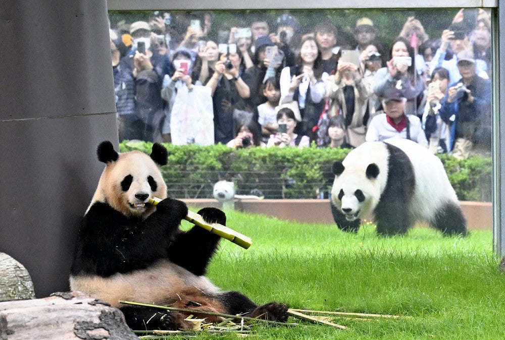 20250525-OYT1I50051-1.jpg?type=ogp