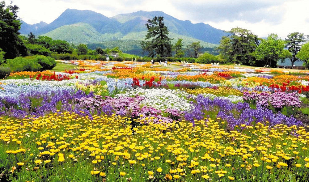 20250528-OYTNI50058-1.jpg?type=ogp