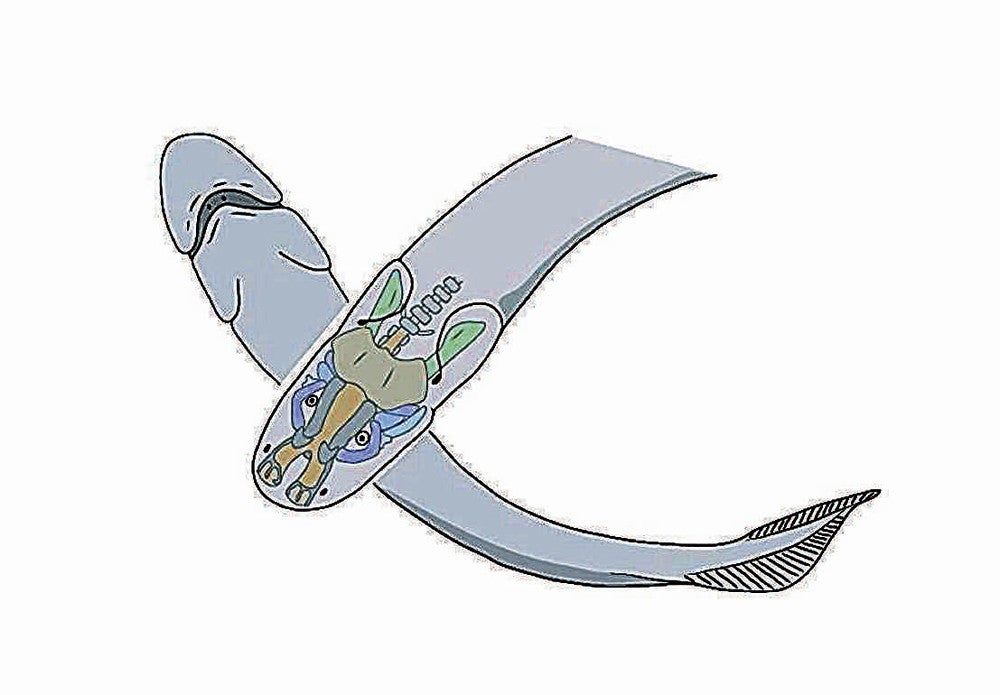 20220616-OYT1I50092-1.jpg?type=ogp