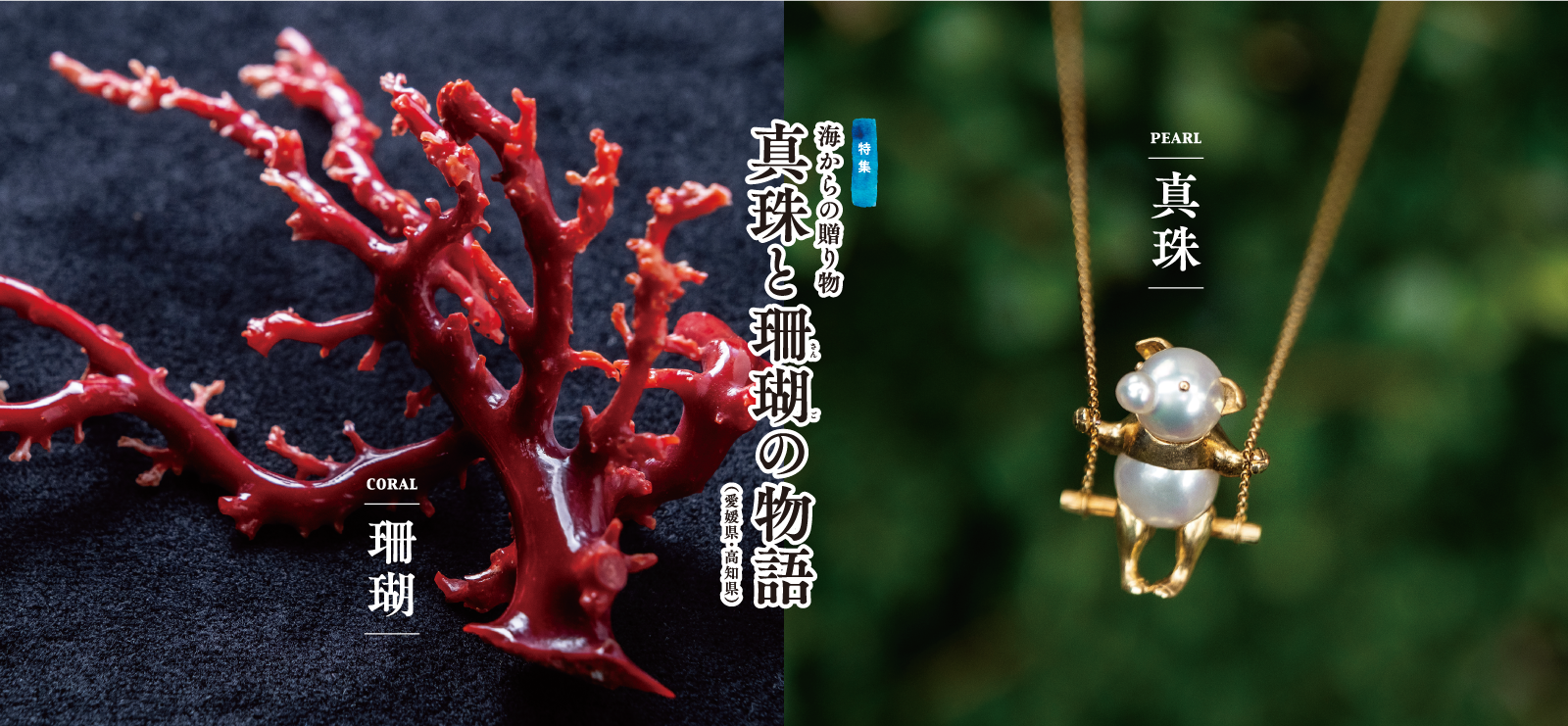 海からの贈り物 真珠と珊瑚(さんご)の物語 ｜ 2024年6・7月号